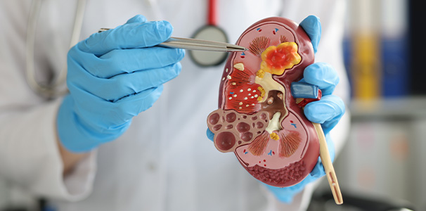 Urology
